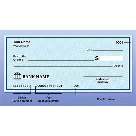 Routing Number vs Account Number