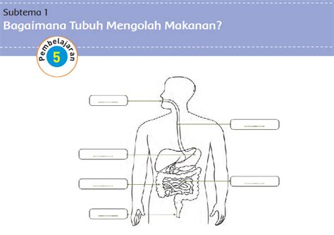 Kunci Jawaban Tema 3 Kelas 5 Halaman 38