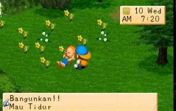 Perbaikan Grafis Harvest Moon Back to Nature Android