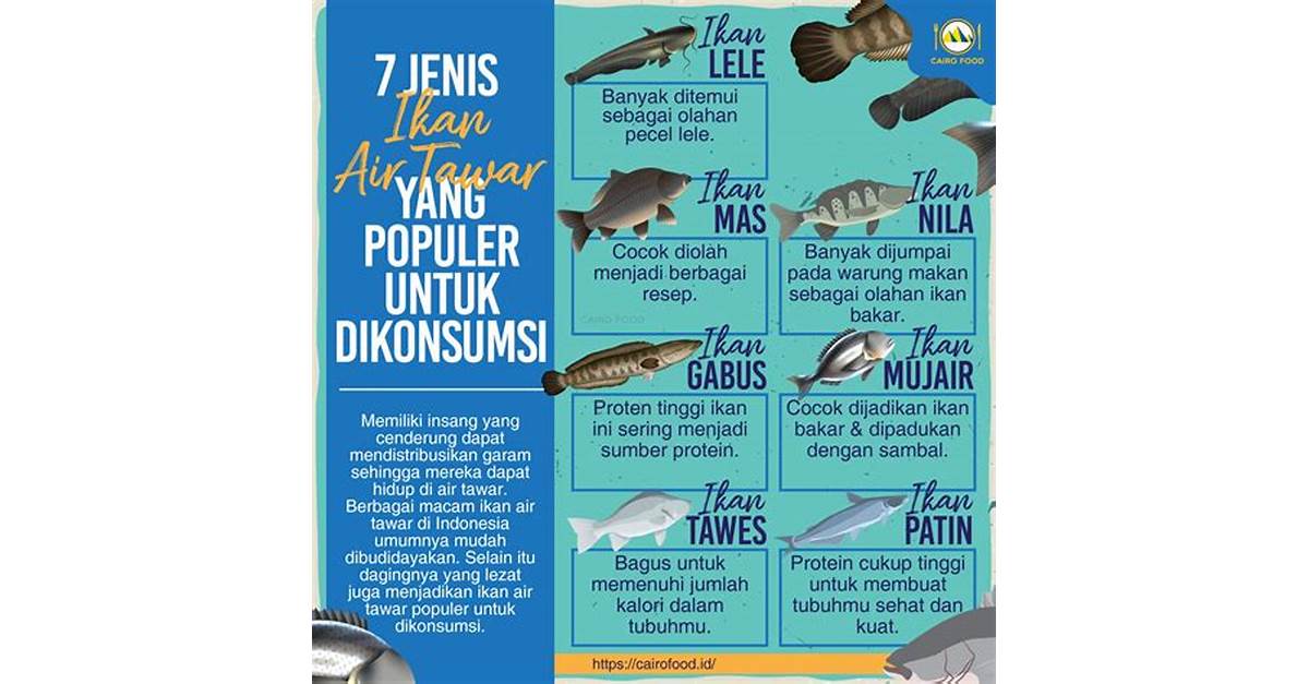 Warna Air yang Ideal untuk Budidaya Ikan Konsumsi di Indonesia