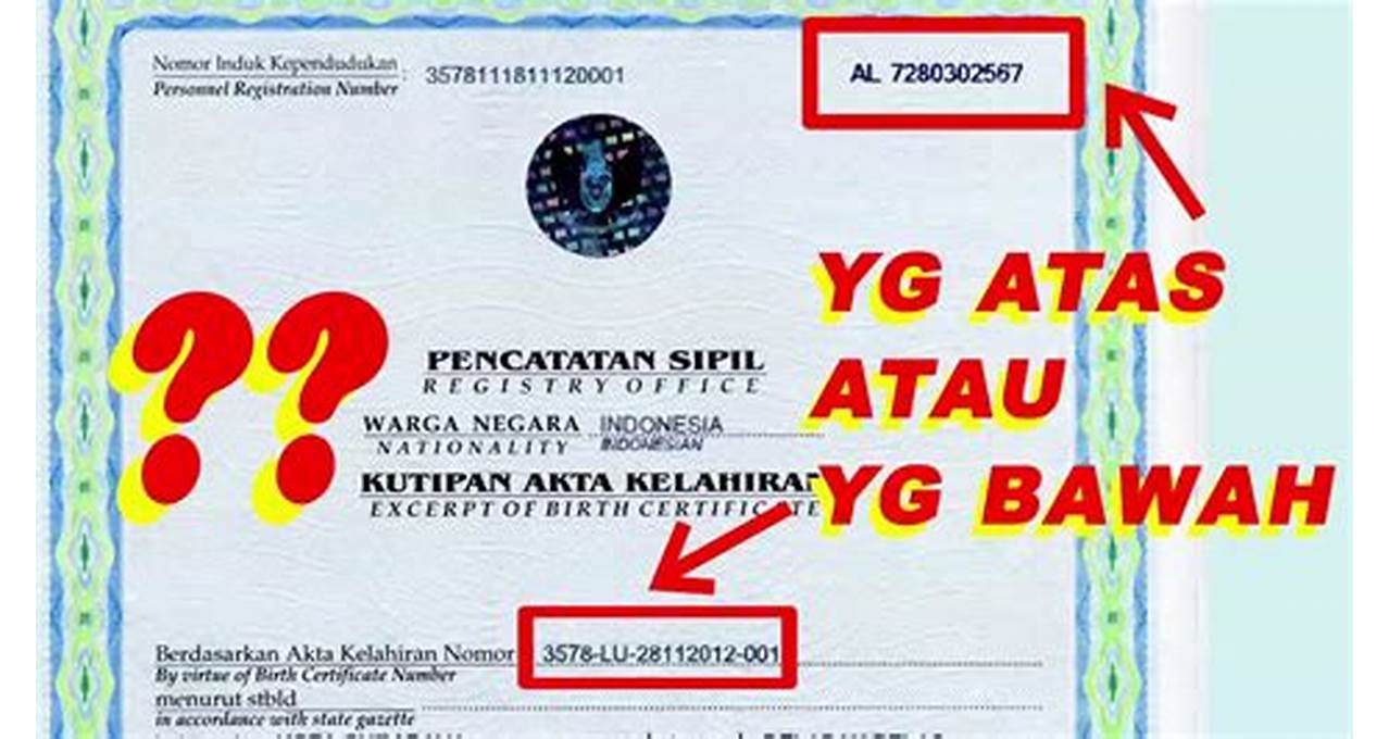 No Registrasi Akta Lahir Indonesia