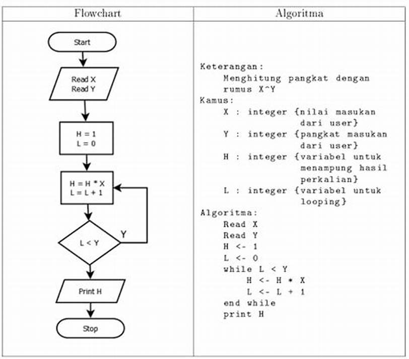 The Evolution of Computer Algorithm Programming in Indonesia