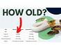 Ball Python Age Chart