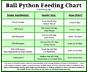 Ball Python Size Chart