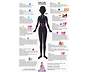 Body Code Chart