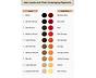 Color Level Chart