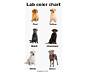 Labrador Color Chart