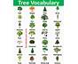 Tree Types Chart