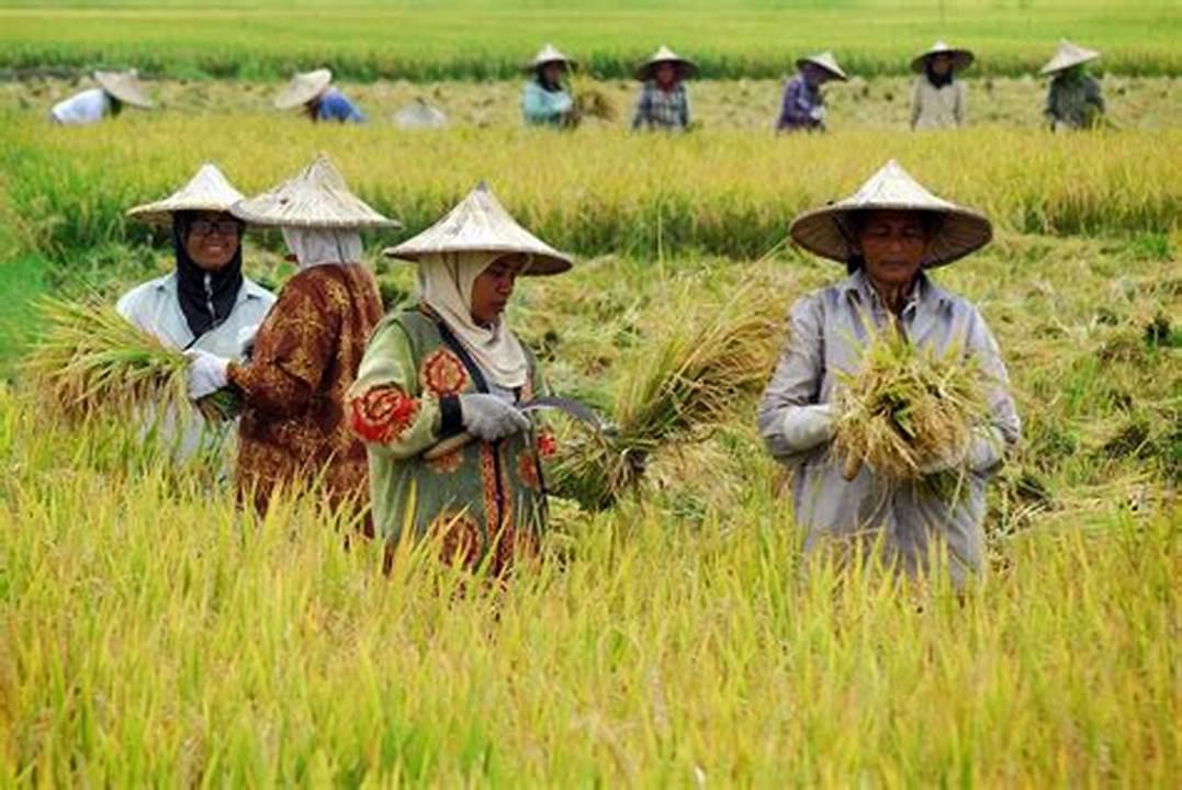 Petani dan Pedagang Indonesia