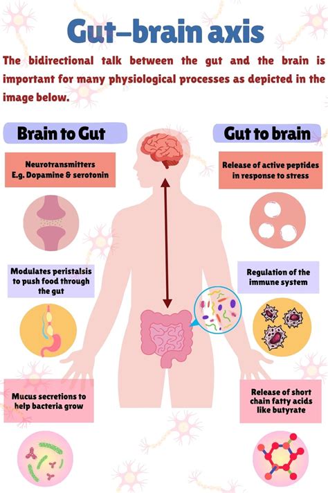 Gut-Brain