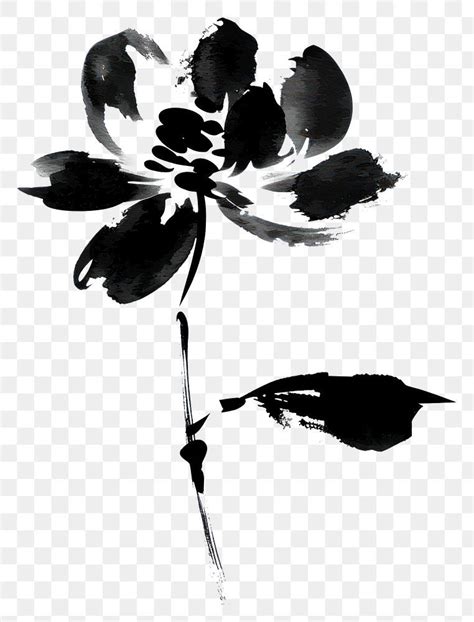 Png Flowers Black White Art Free Image By Rawpixel Com Adjima In