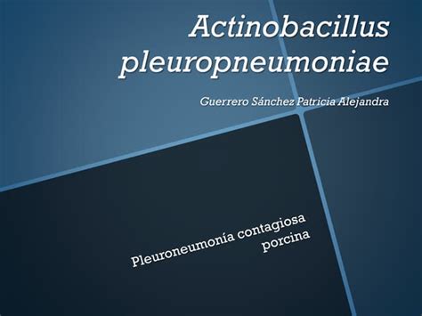 Actinobacillus | PPTX