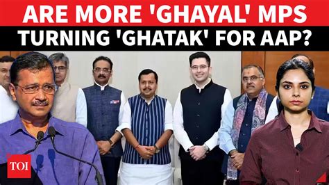 Raghav Chadha fallout: Who really wins and loses in Punjab?