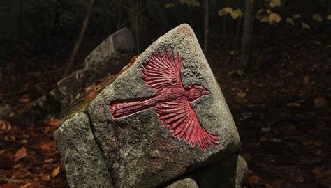 THE WILD BIRD PETROGLYPH (2026) All You Need to Know BEFORE Going (with ...