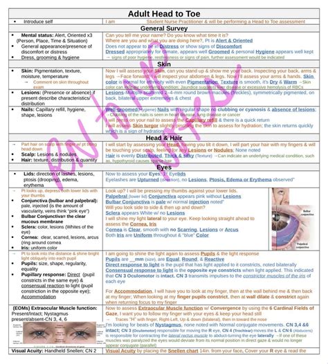 Head To Toe Adult Assessment Guide NP RN Etsy In 2024 Nursing