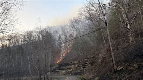 Forest fire reported in EKY