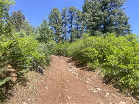 Canada Ojitos, New Mexico - GPS Trail Map, Conditions & Difficulty ...