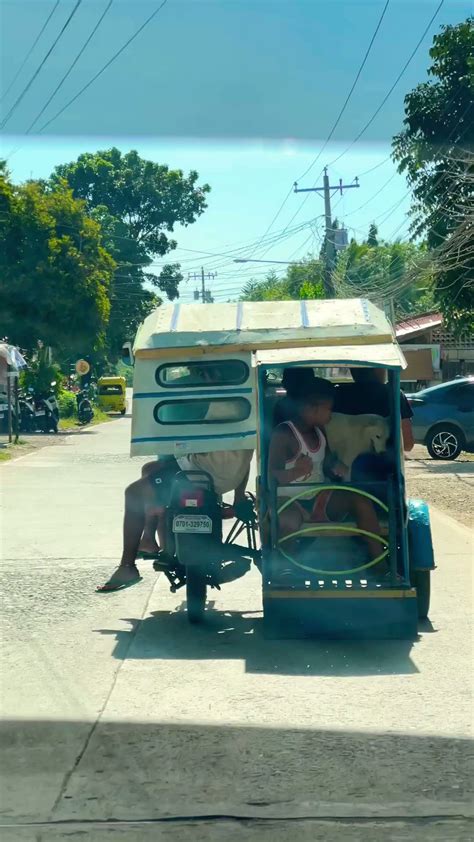 Even dogs ride tricycles in the Philippines 🤯🇵🇭 #shorts