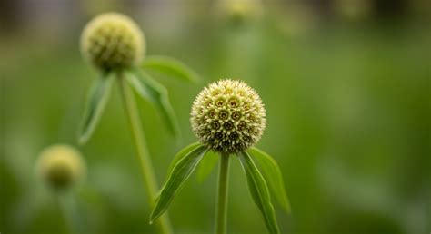 Global Report Exposes Industrial Threats to Indigenous Land Protectors ...