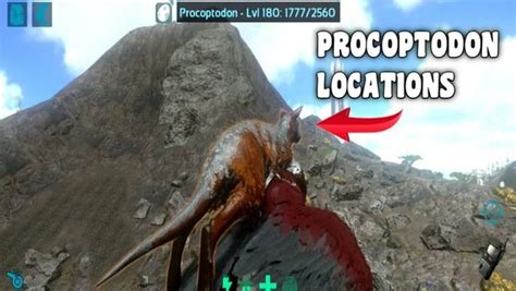 Ark Mobile Procoptodon Location - Смотреть онлайн в поиске Яндекса по Видео
