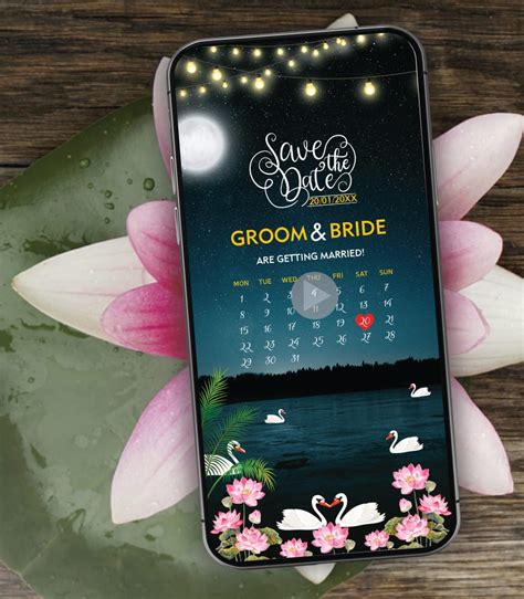 Swan Lake Night Save The Date Video | Starry Romantic E-Invite | IM-22 ...