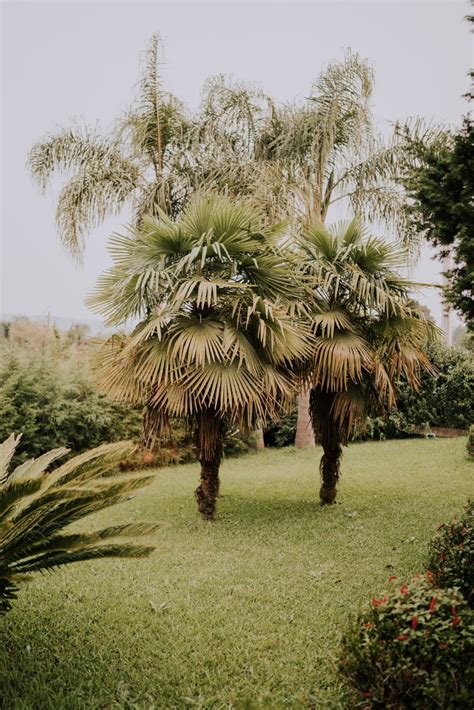 Mond Witmarsum - Houses for Rent in Palmeira, Paraná, Brazil - Airbnb