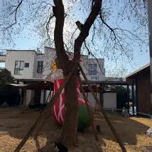 1112 Verified Guest Reviews of Blossom House Suzhou shushan | Trip.com