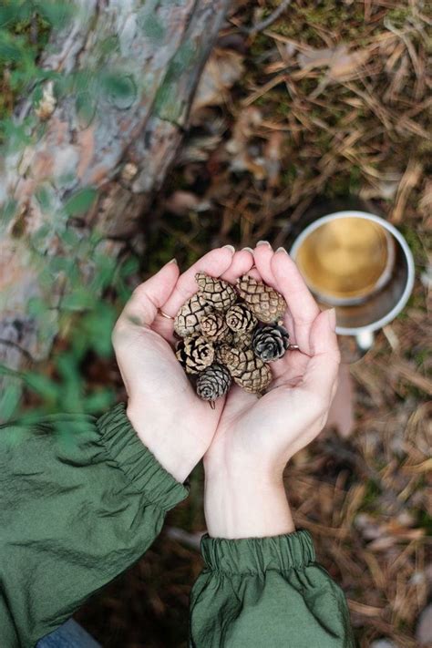 Pin By Lu On Green Autumn Forest Photography Autumn Photography