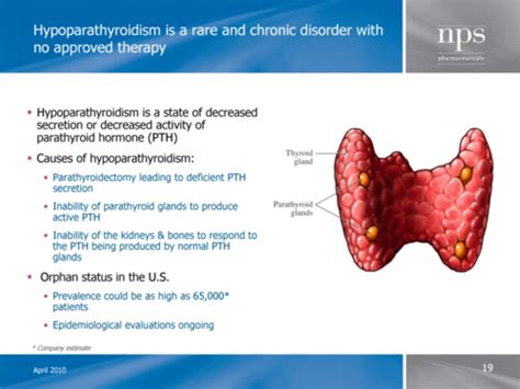 Hypoparathyroidism Flashcards | Quizlet
