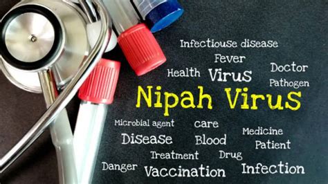 No cure, no vaccine: Why Nipah virus is a public health nightmare