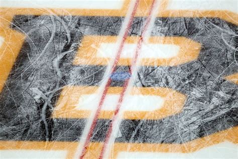 Daily Bean: Bruins Updates from Milan; Patriots Gameday; Sweden ...