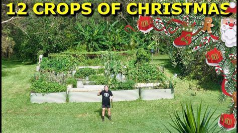 Inside a lush subtropical vegetable garden: Summer growing tour & tips!