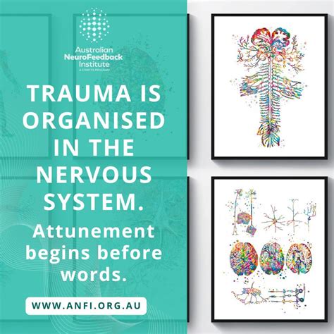 #traumatherapy #traumainformedcare #neurobiology # ...