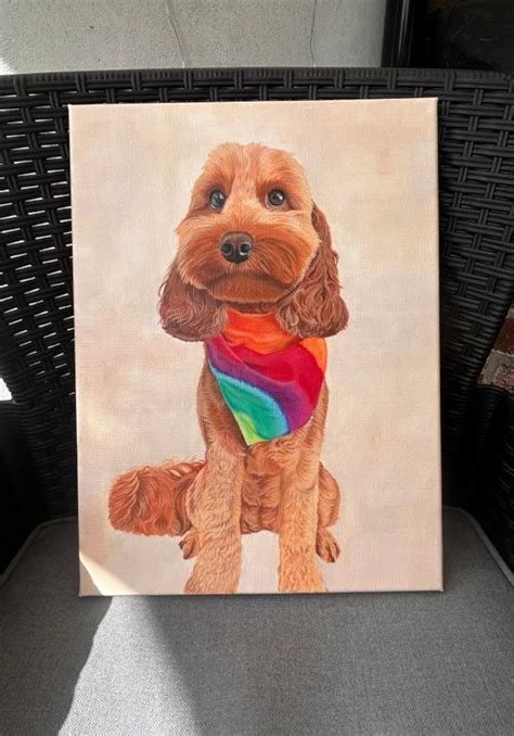 Cavapoo pet portrait by Alexandra harrison in Stockport
