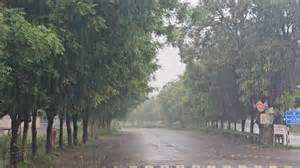 IMD issues orange and yellow warning for Odisha; thunderstorm ...