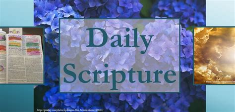 BLOGWORDS – Sunday 25 January 2026 – DAILY SCRIPTURE – 1 John 1:5-7