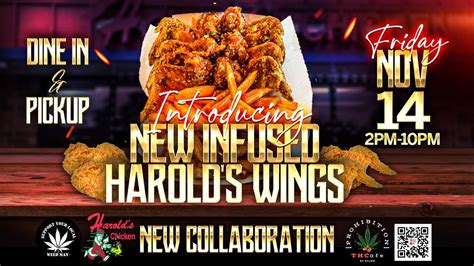 The Harold’s Infused Experience in Chicago – November 14, 2025 | AllEvents