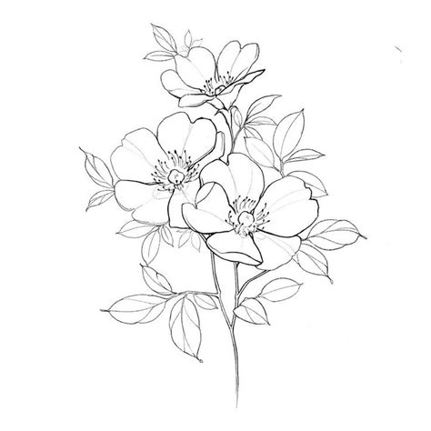 A Drawing Of Some Flowers On A White Background