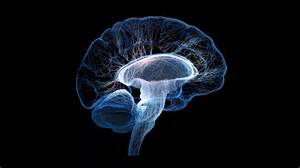 Frontiers in Neuroscience | Neuropharmacology