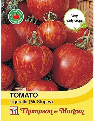 Thompson And Morgan Vegetables Tomato Tigerella Mr Stripey 75