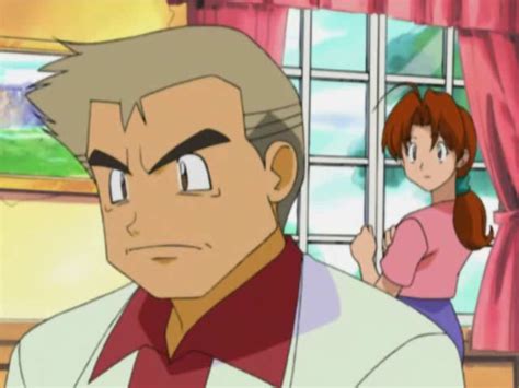 Professor Oak And Delia Ketchum Pokemon Anime Character