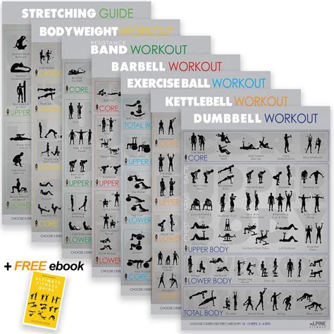 7 Exercise Posters For Home Gym Each Large Gym Poster Is 42x71 Cm