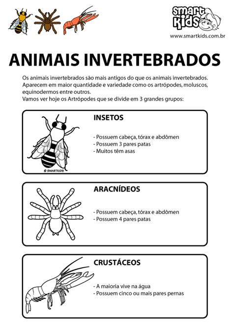 Atividades Animais Vertebrados E Invertebrados