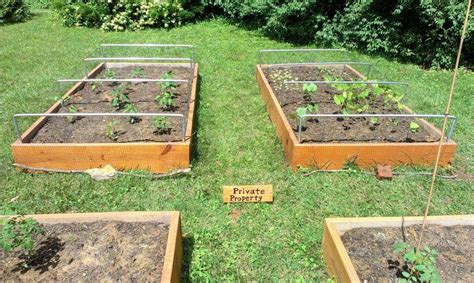 Create a plot of thriving flowers or veggies with the help of the. Installed Raised Bed Row Covers : gardening