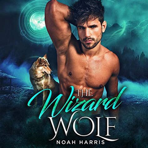 Amazon Co Jp The Wizard Wolf Windward Triad Book Audible Audio