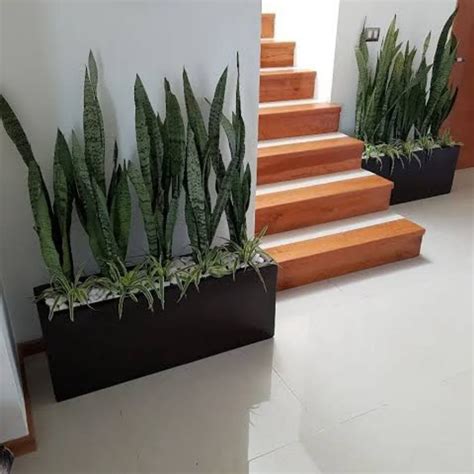 Maceta Minimalista De Fibra De Vidrio De 120x25x25 Cm Gris | Mercado Libre