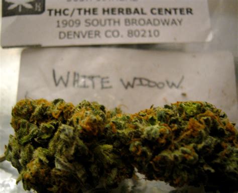 Maybe you would like to learn more about one of these? Colorado Medical Marijuana Pictures