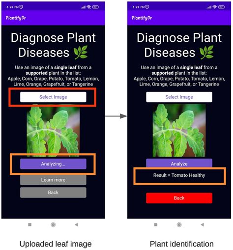 Research Paper On App Based Solution To Identify Solve Disease In Plants