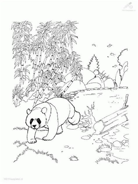 Giant Panda Coloring Pages Coloring Home