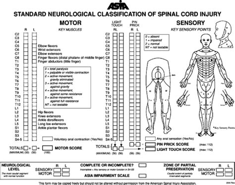 The Neurological Evaluation And Medical Management Of Acute Spinal Cord
